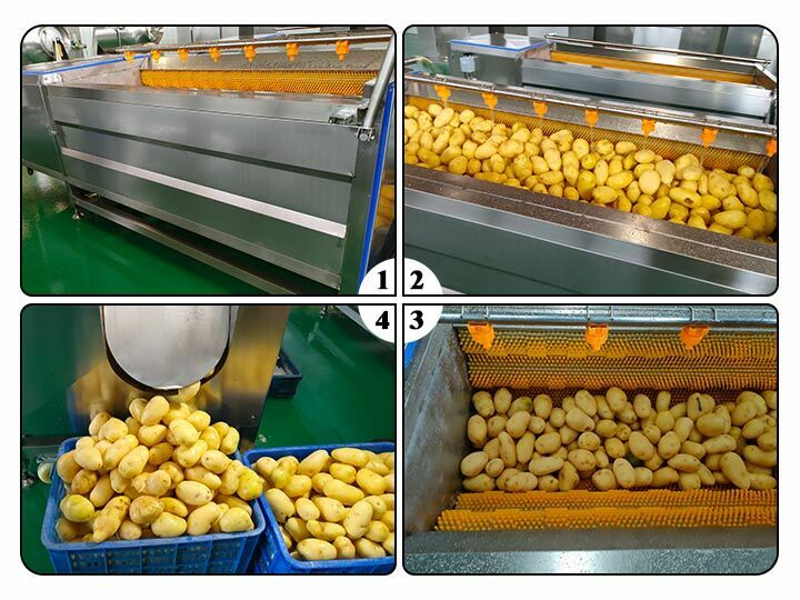 Industrial potato cleaning and peeling machine | sweet potato washing machine