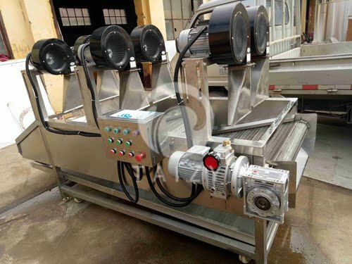 Vegetable and fruit Dryer machine