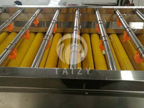 How does the vegetable washing machine processing line work?