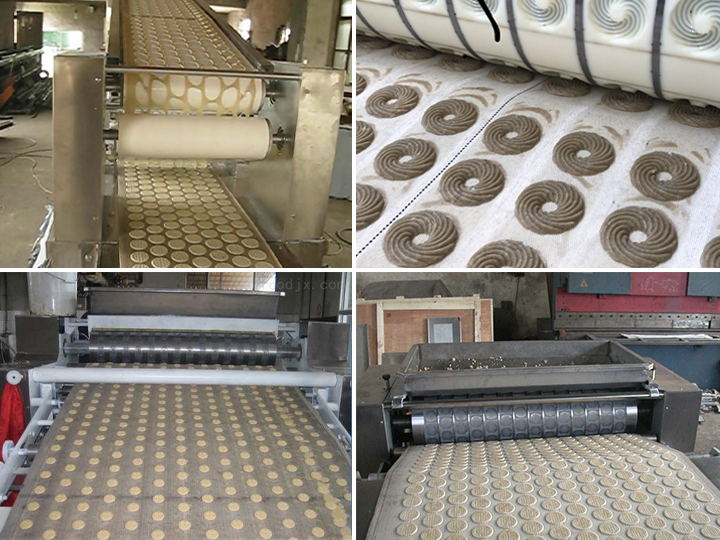 commercial biscuit making machine