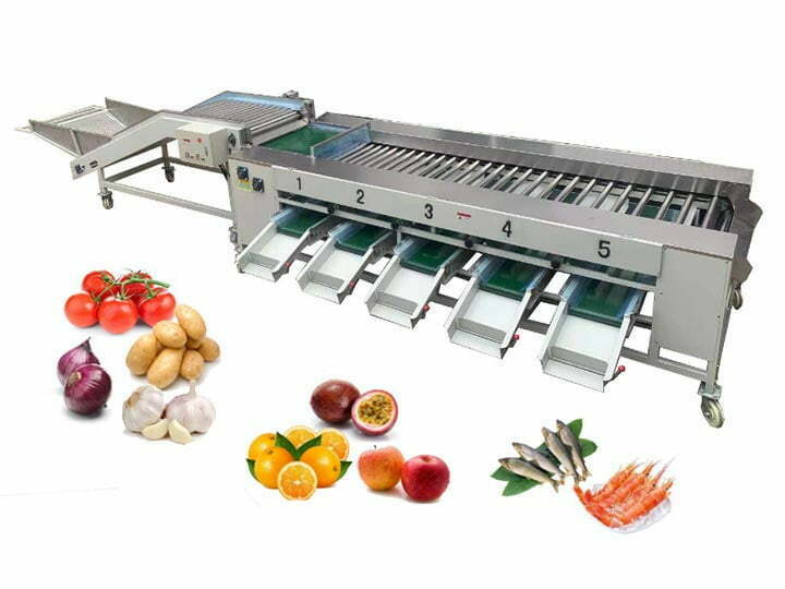 Roller potato onion grading machine for sale
