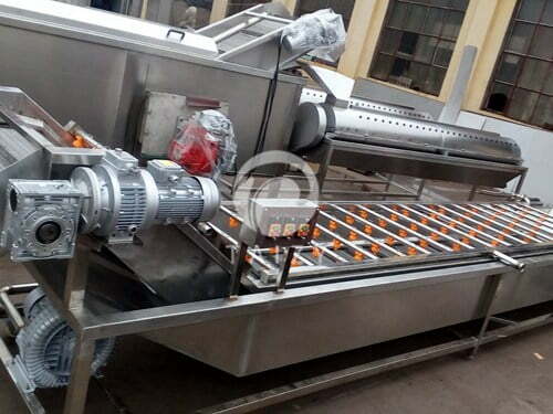 How does the vegetable washing machine work?