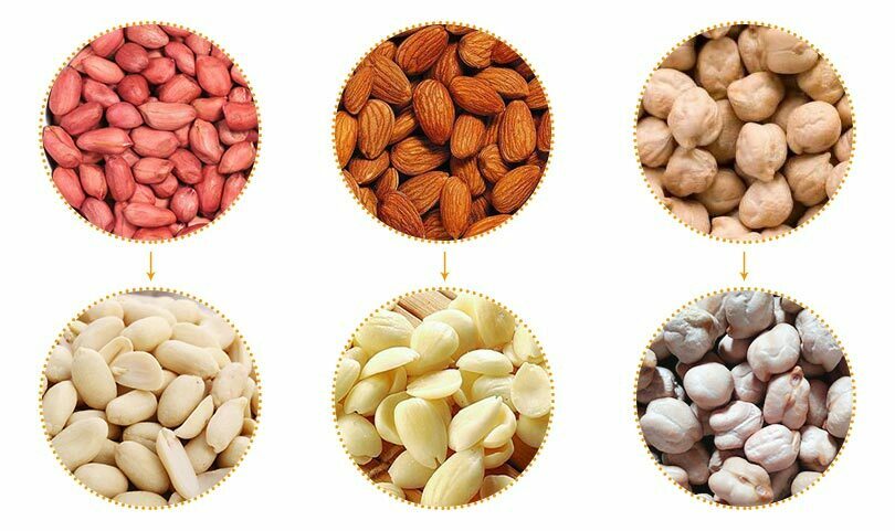commercial almond peeler application