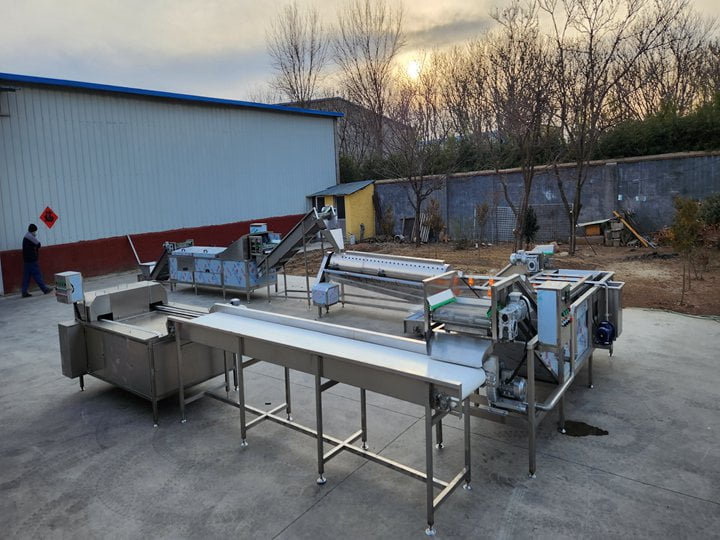 Chicken Feet Processing Plant