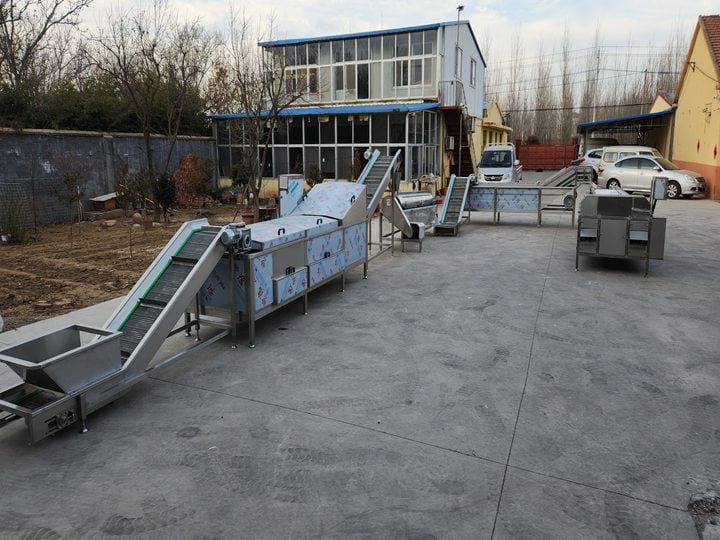 chicken feet peeling line of Taizy factory