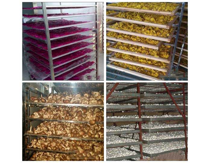 commercial food dehydrator machine application