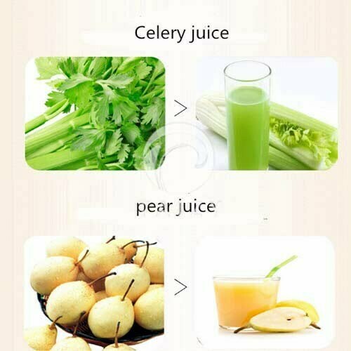 spiral juicer