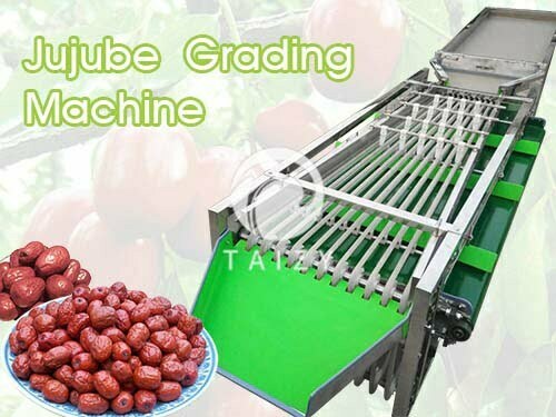 Jujube grading machine & dates sorting machine