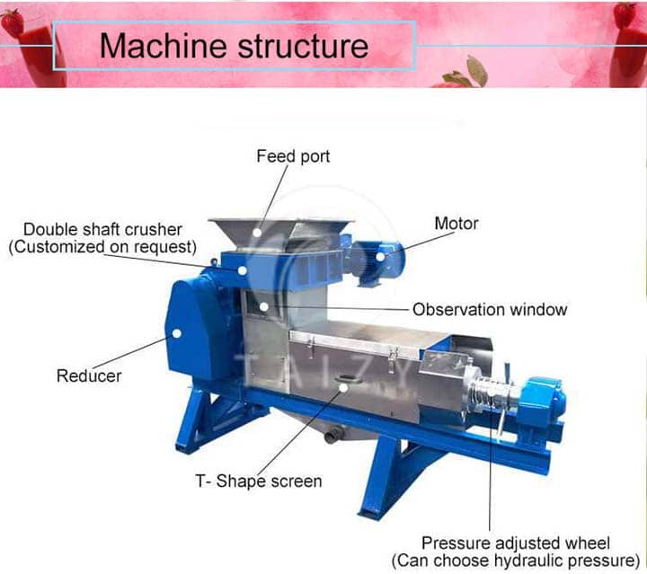 screw juice extractor