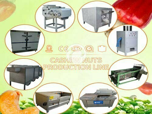 cashew nut processing plant in India