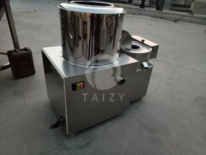potato peeling in factory