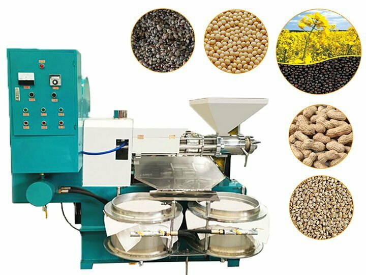 Screw oil making pressing machine | essential oil extractor machine