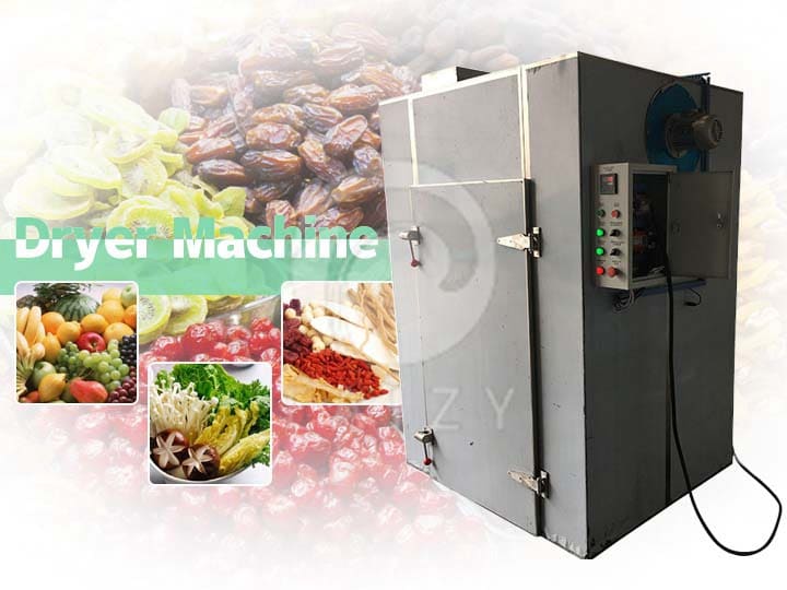 Fruit and vegetable dryer machine | drying food machine