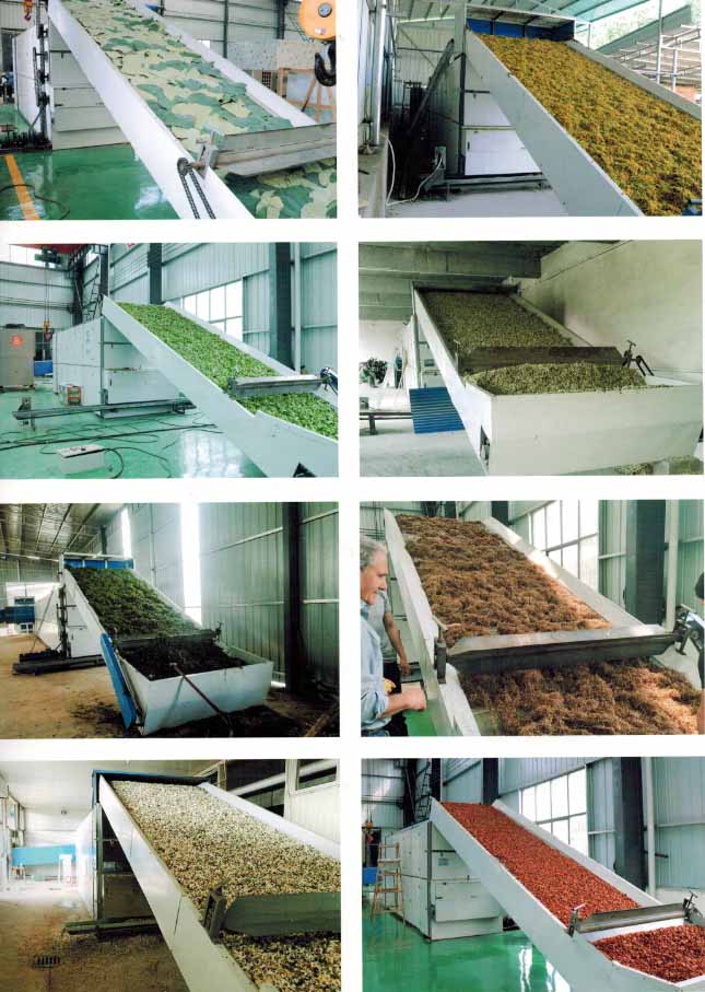 automatic fruit and vegetable dryer machine