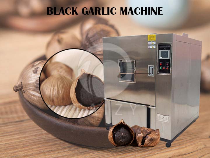 How to make black garlic? Black Garlic Fermenter | fermentation machine