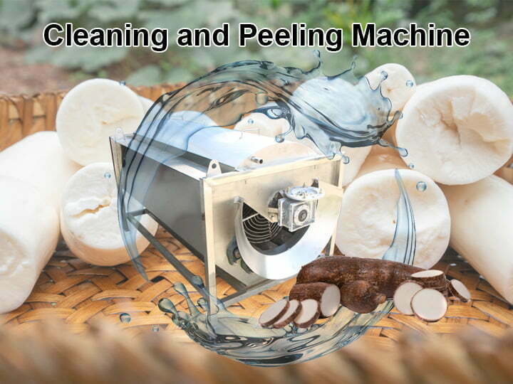 Cassava washing peeling machine | tuber cassava peeler