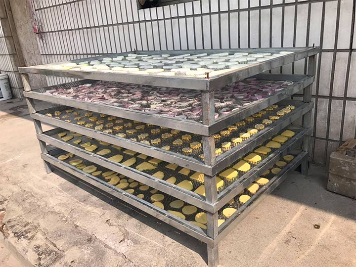 fruit dehydrator machine