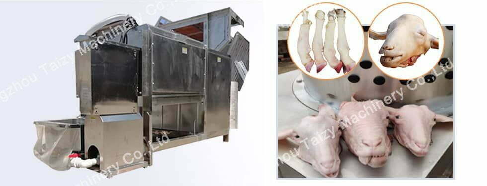 goat head foot hair remover