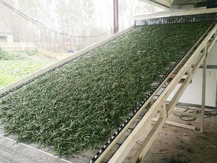 industrial vegetable dryer