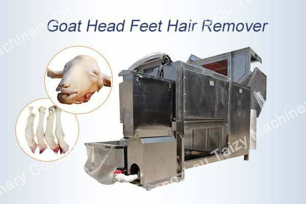 Sheep or goat head and feet hair removing machine