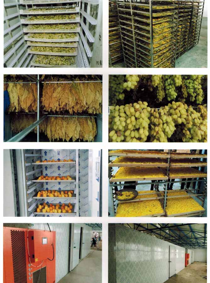 tray fruit drying machine