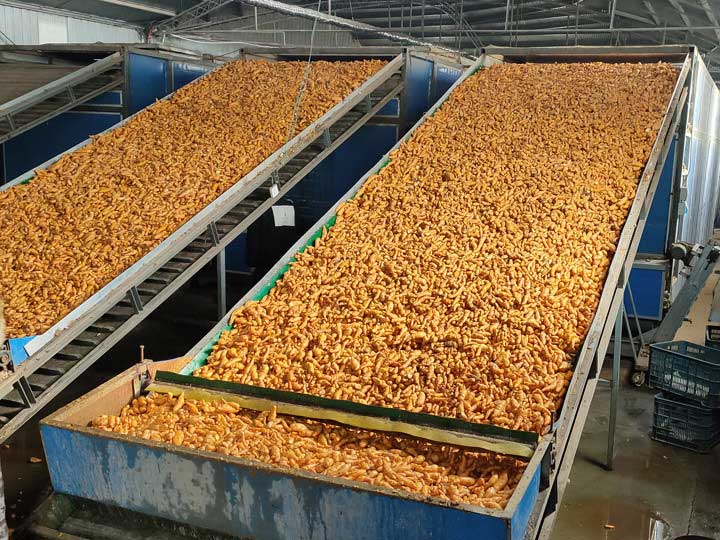 vegetable dryer machine