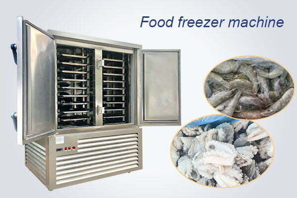 Industrial food freezer | instant freezing machine