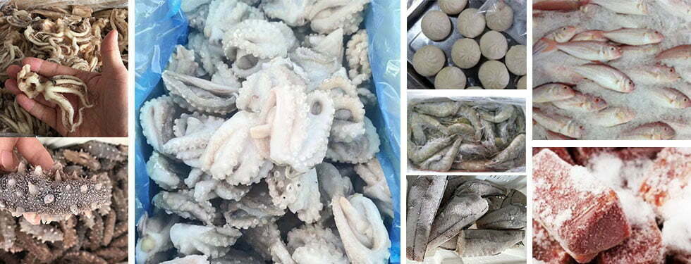 quick frozen food freezer effect