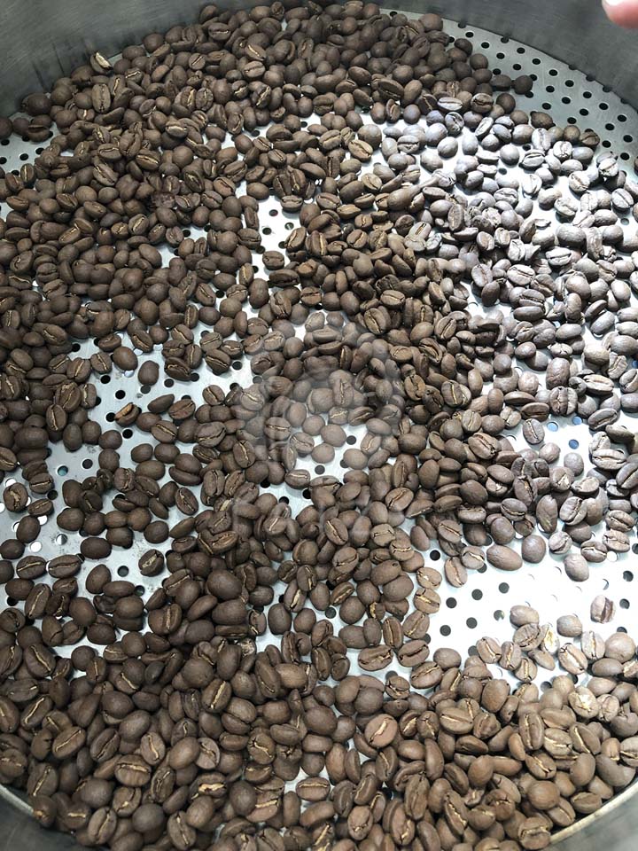 Difference between coffee beans and cocoa beans