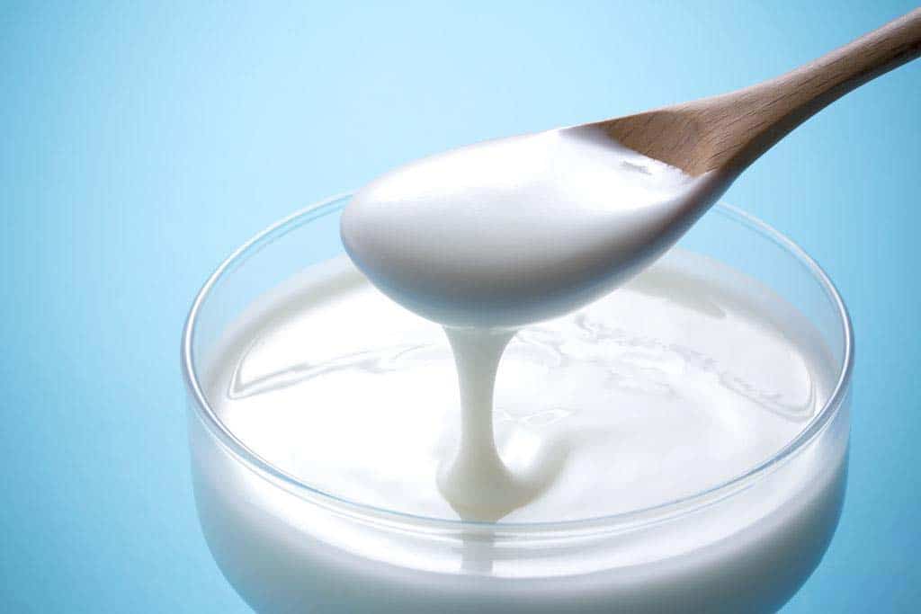 yogurt