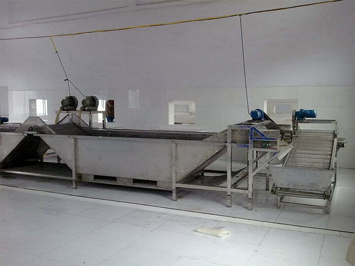 Industrial vegetable washing machine running in Qatar