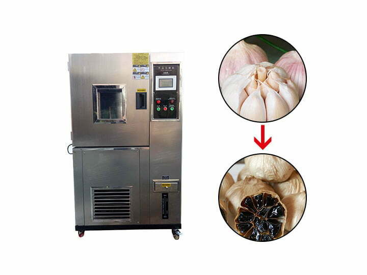 black garlic fermenting machine