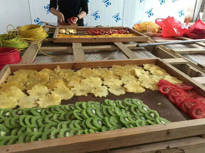 fruit dehydrator