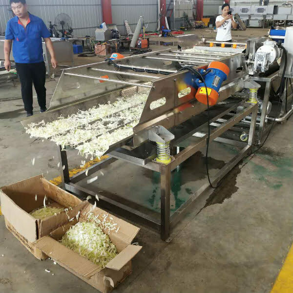 Broccoli Sprouts washing machines