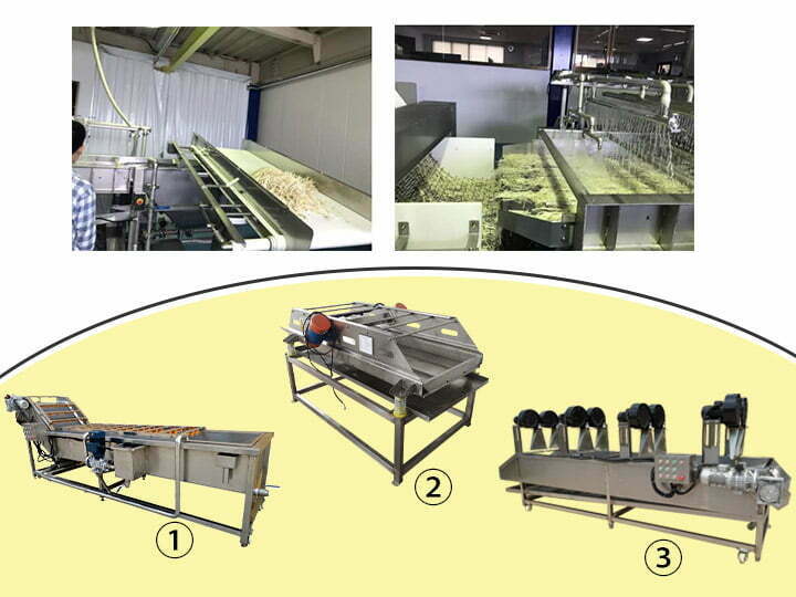 bean sprouts cleaning machine