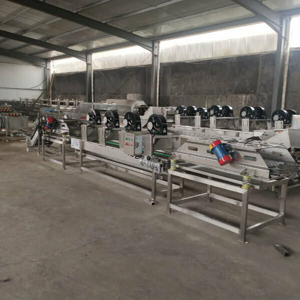 bean sprouts peeling and cooling machine