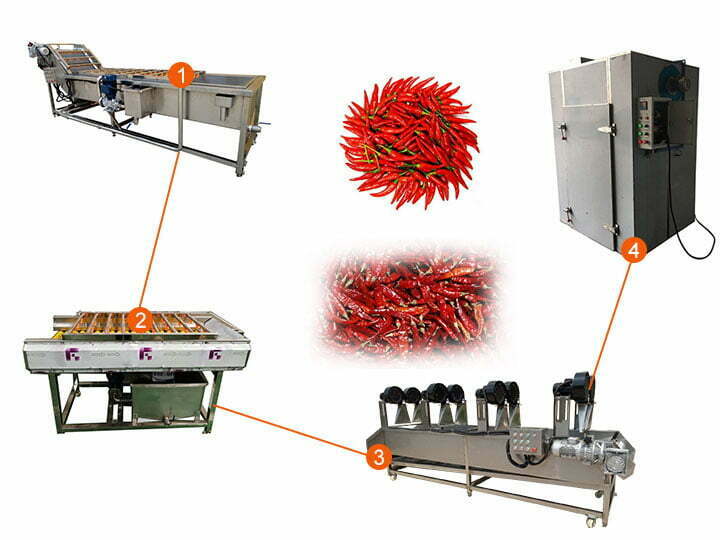 Chili pepper washing line | pepper cleaning drying machine