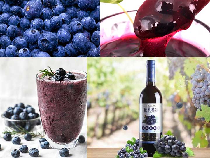 blueberry application