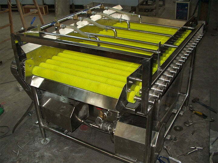 blueberry roller cleaning machine