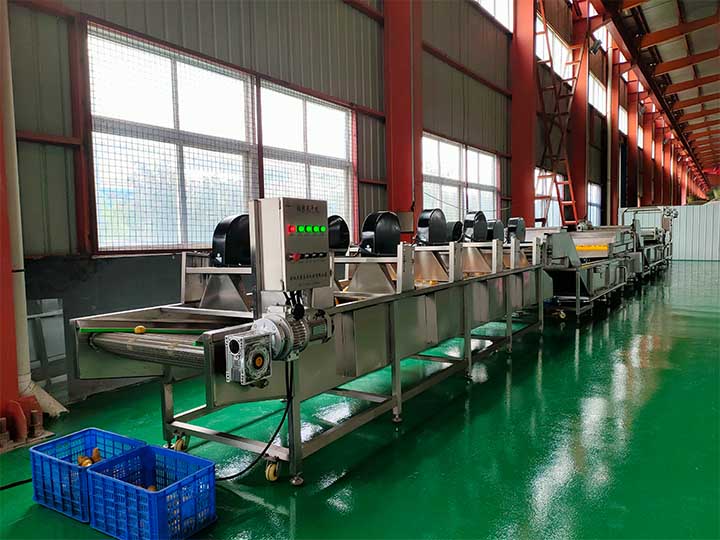 blueberry wash processing line