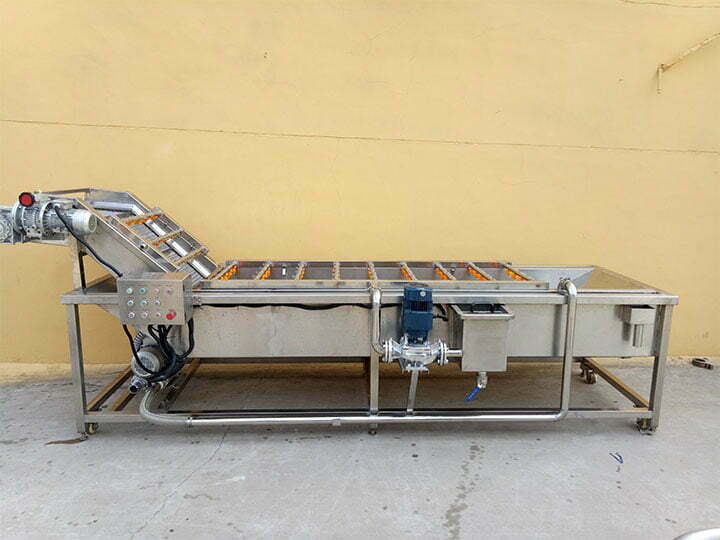 blueberry washer machine
