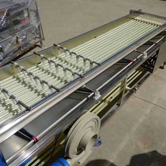 date sorting grading machine