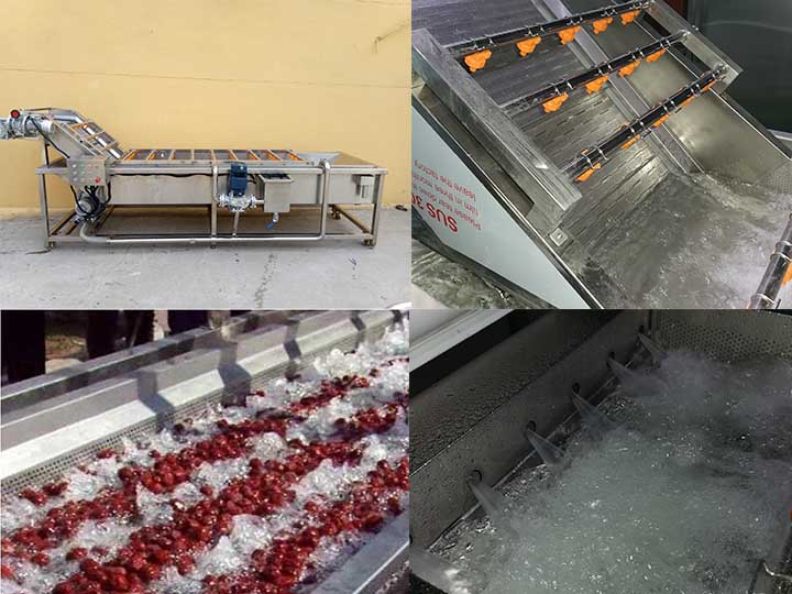fruit date washing machine