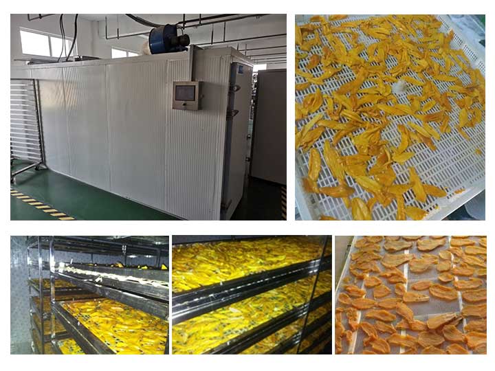 Mango drying machine | industrial fruit drying dehydrator machine