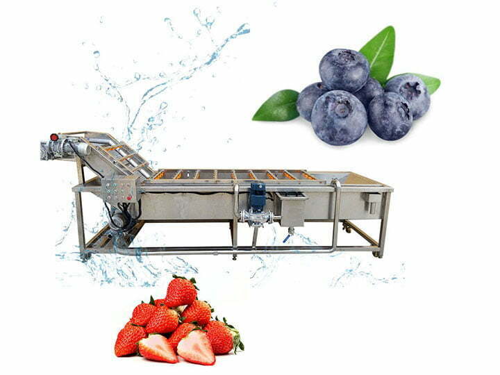 Industrial strawberry blueberry washing machine line | fruit cleaning and drying line