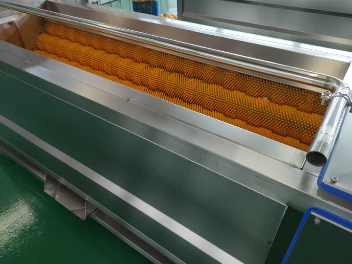 stainless steel carrot washing machine