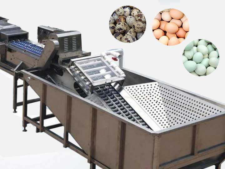 Egg washing machine for cleaning chicken & duck eggs