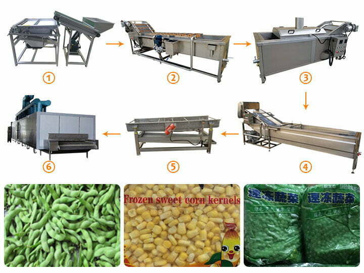 Frozen vegetable production line for making frozen peas,sweet corn