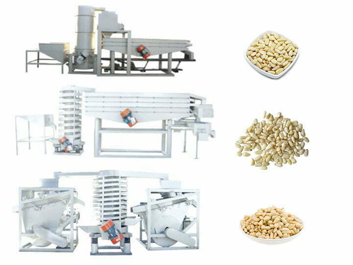 Lebanese pine nut shelling and separating machine line
