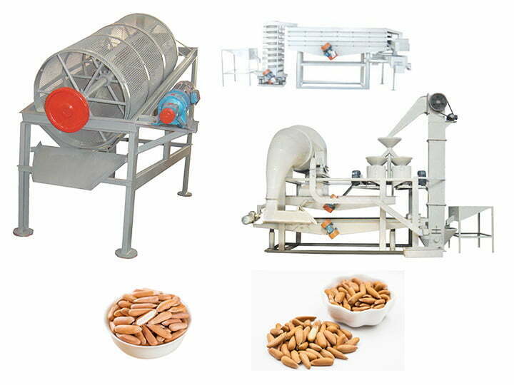 Pakistan pine nut processing machine | chilgoza peeling machine